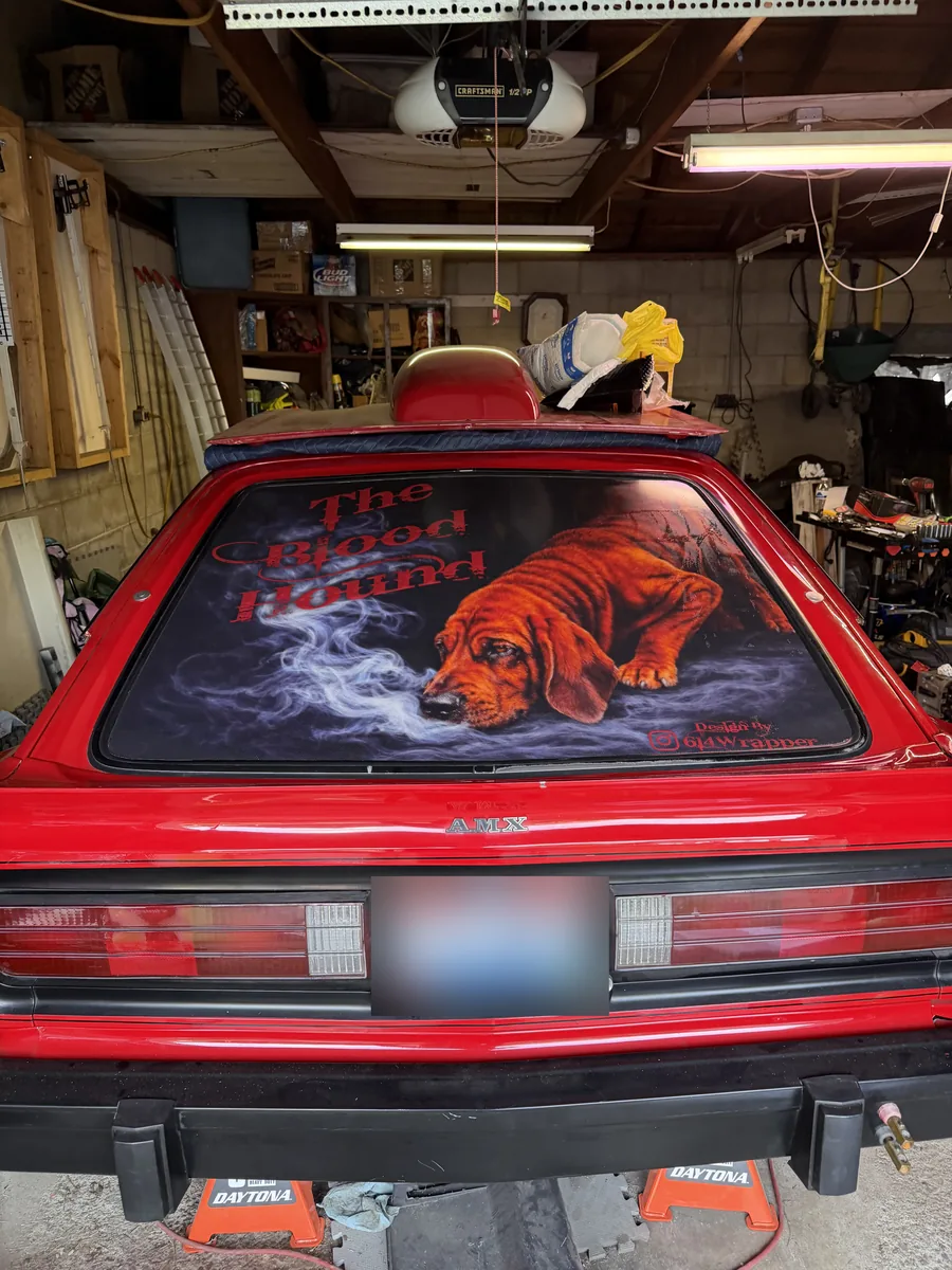Rear window graphic of a hound